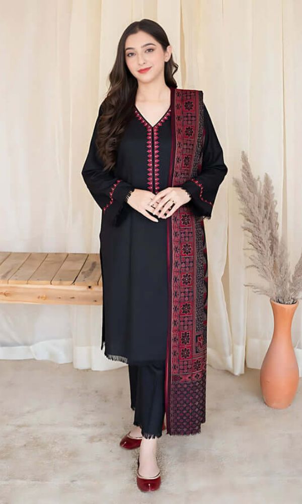 3 Pcs women’s unstitched Dhanak embroidered suit